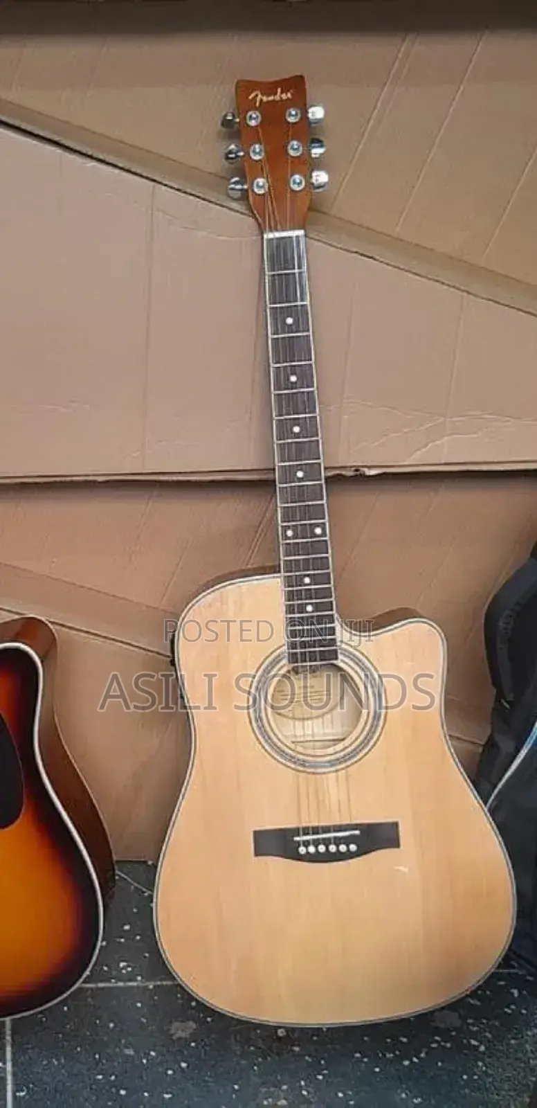 Aucostic Electric Guitar