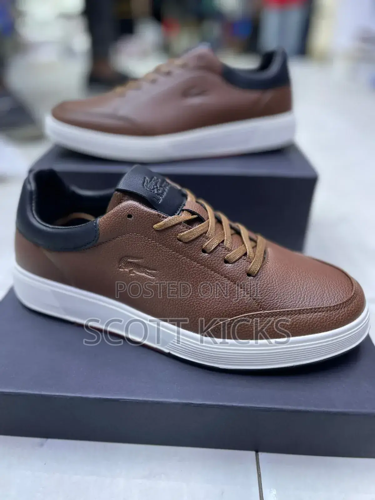 Lacoste Mens Casuals.