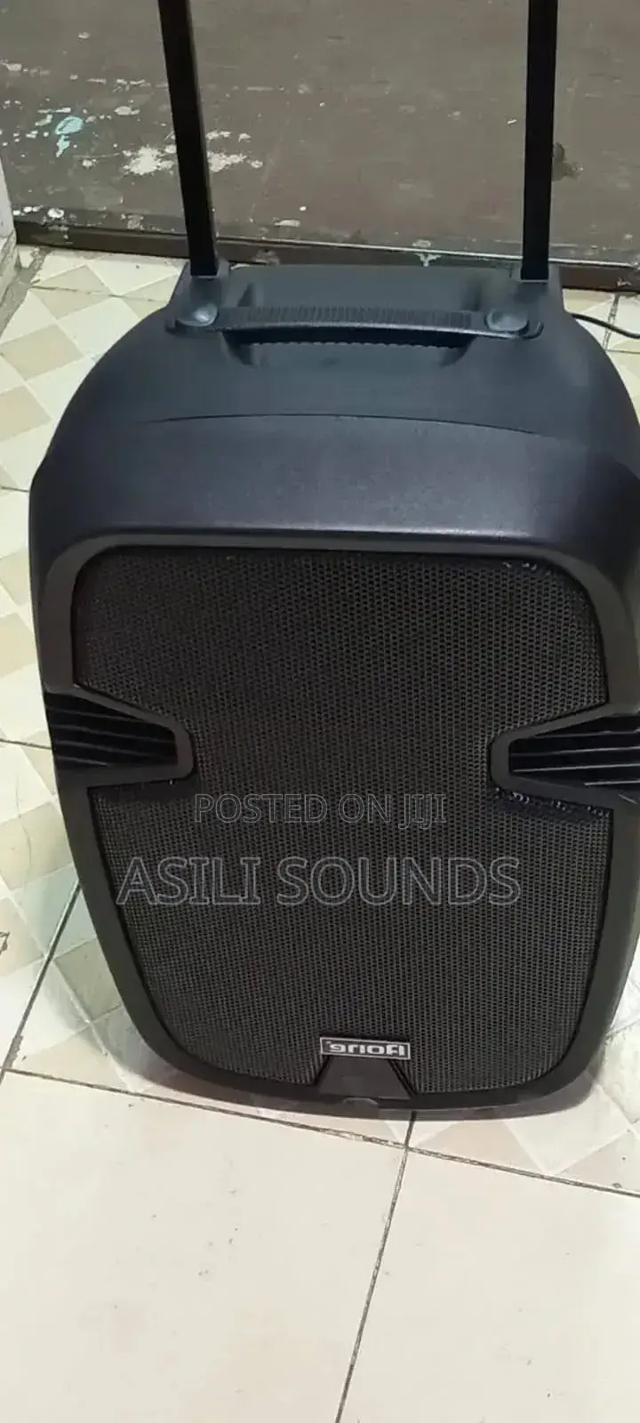 Aone 12-Inch Rechargeable Portable Amplified Powered Speaker System.