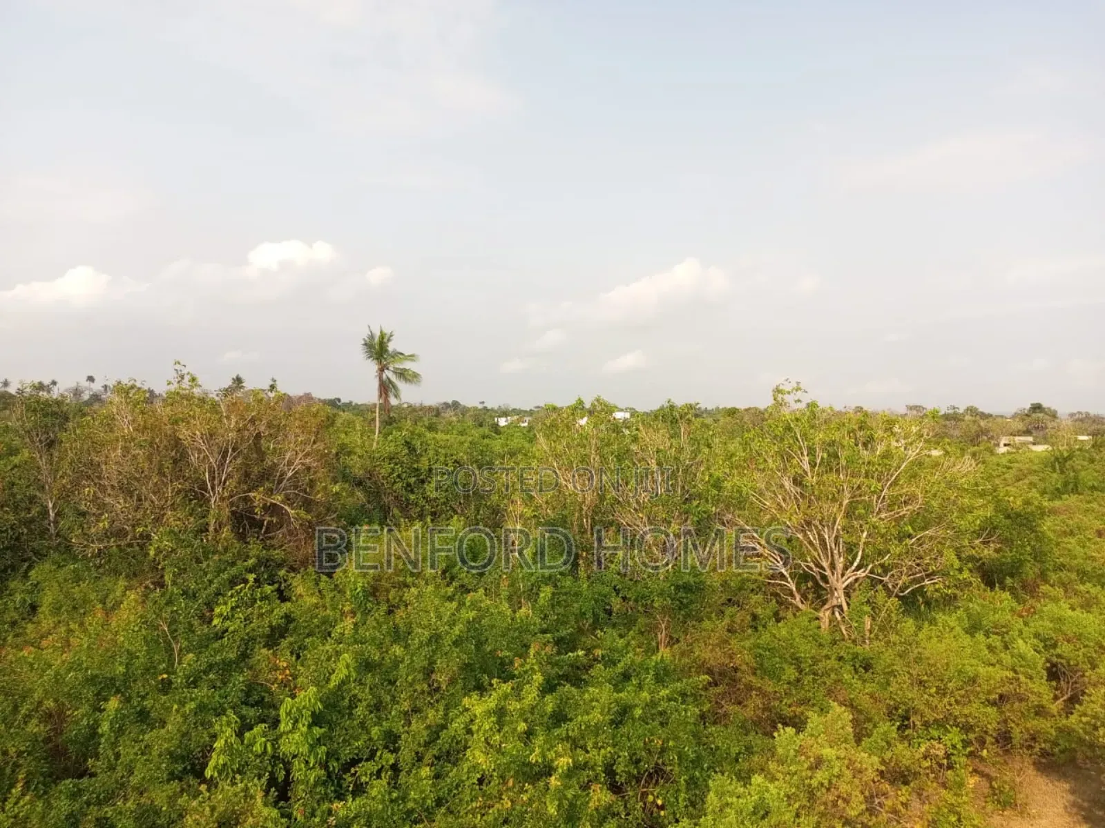 10 Acres Beach Property On Sale Shanzu Mombasa