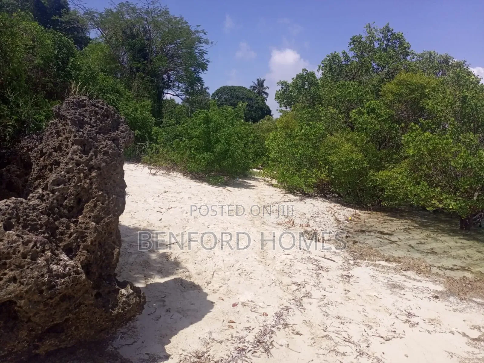 10 Acres Beach Property On Sale Shanzu Mombasa