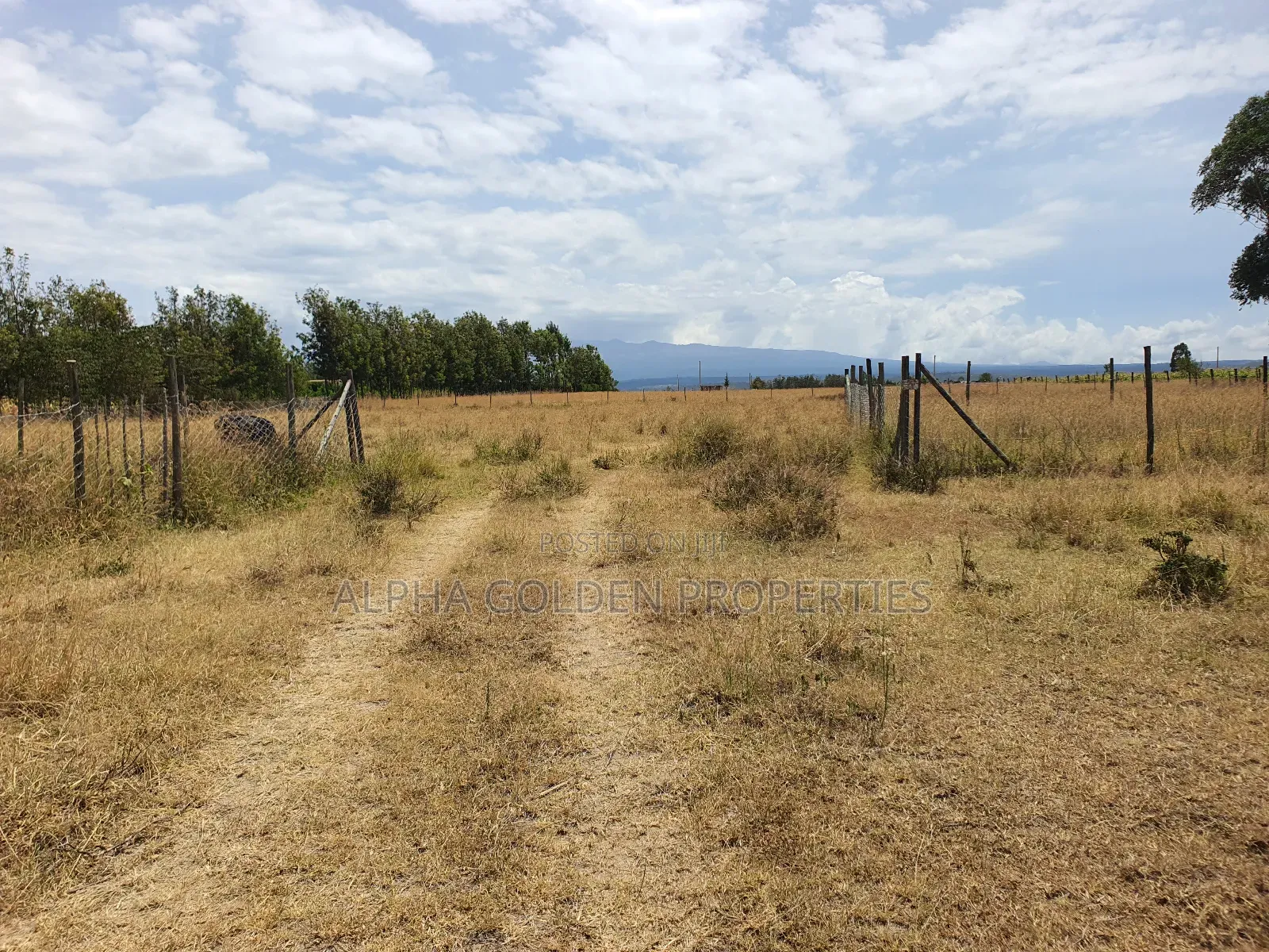 Plots in Airstrip Area