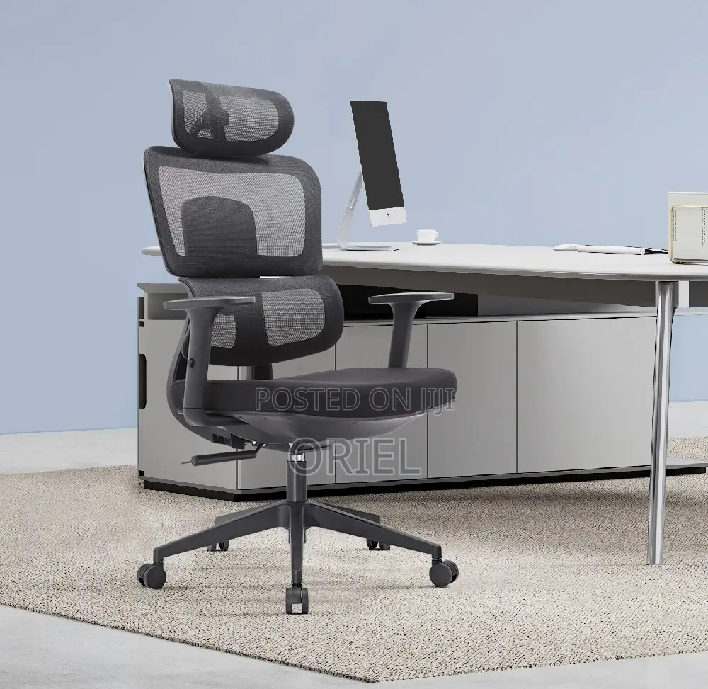 Modern Office Chair : Orthopedic Office Seat