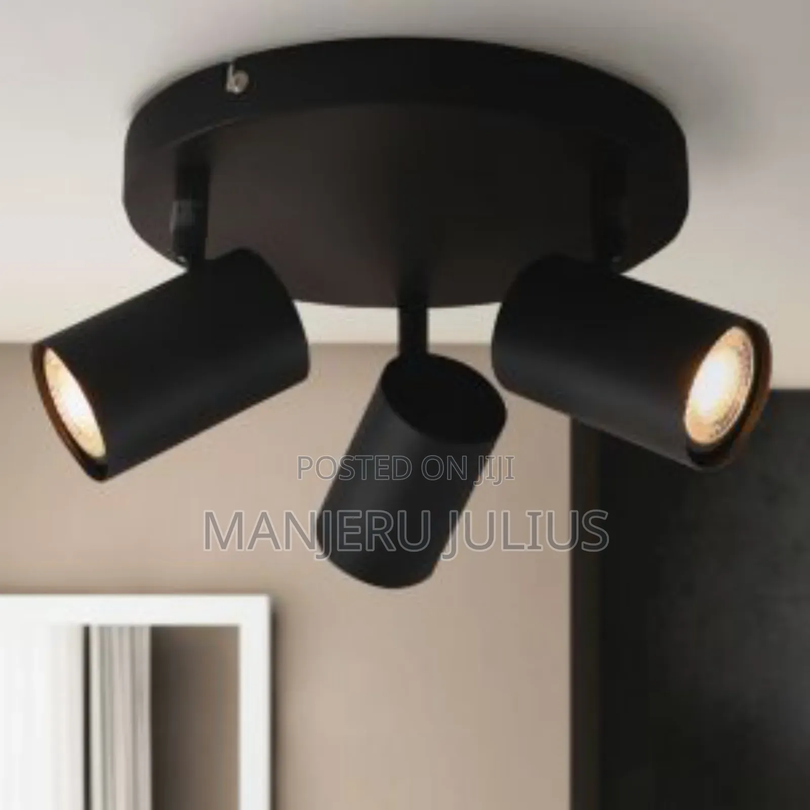 3way Ceiling Light