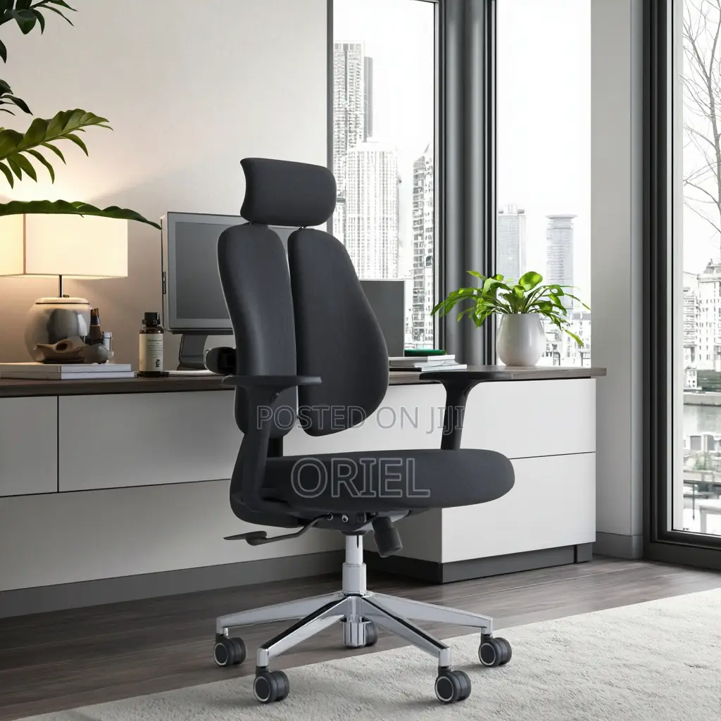 Office Orthopedic Chair : Dual Backrests E Adjustable Office Chair