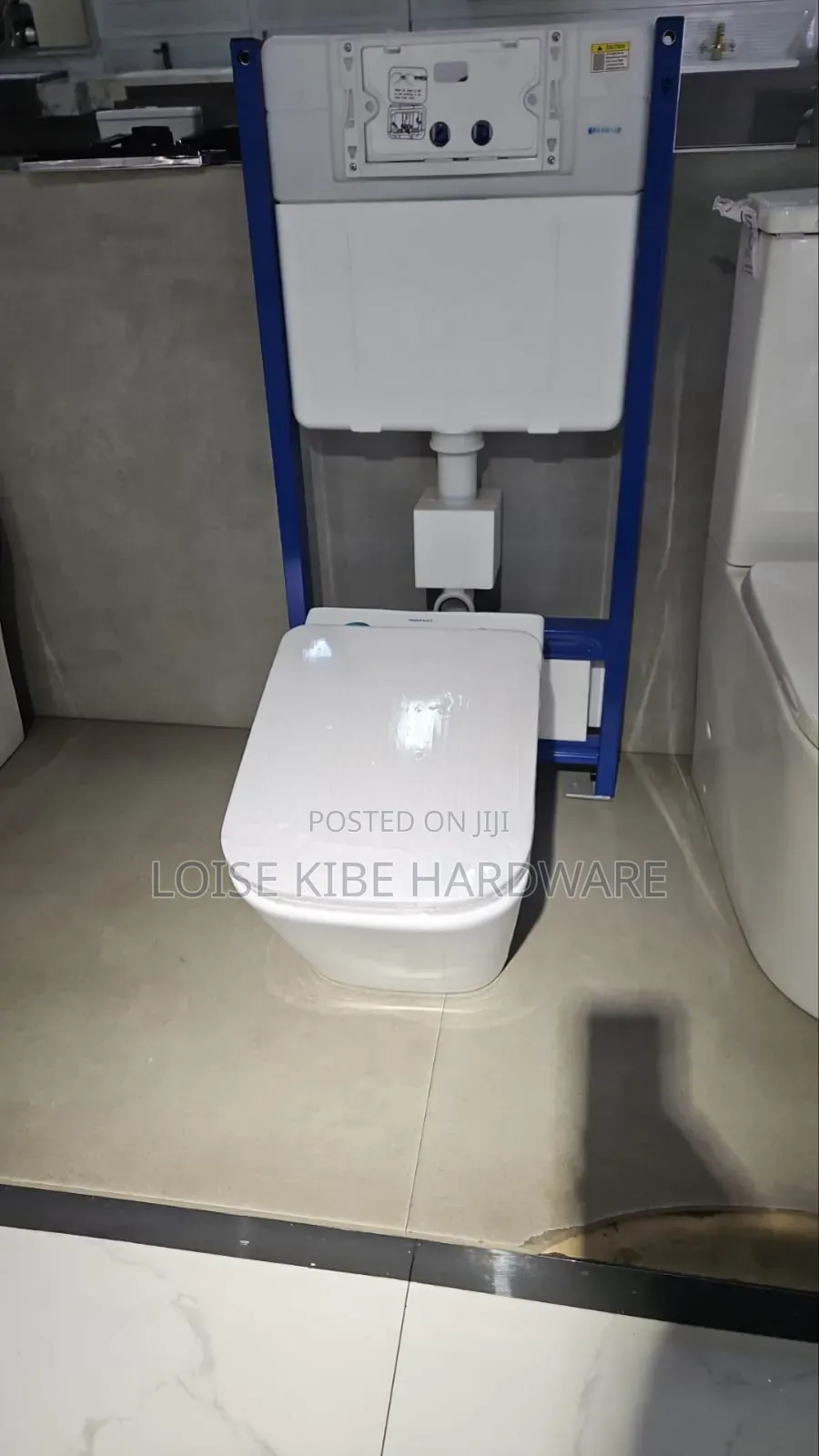 Complete Wall Hung Toilet