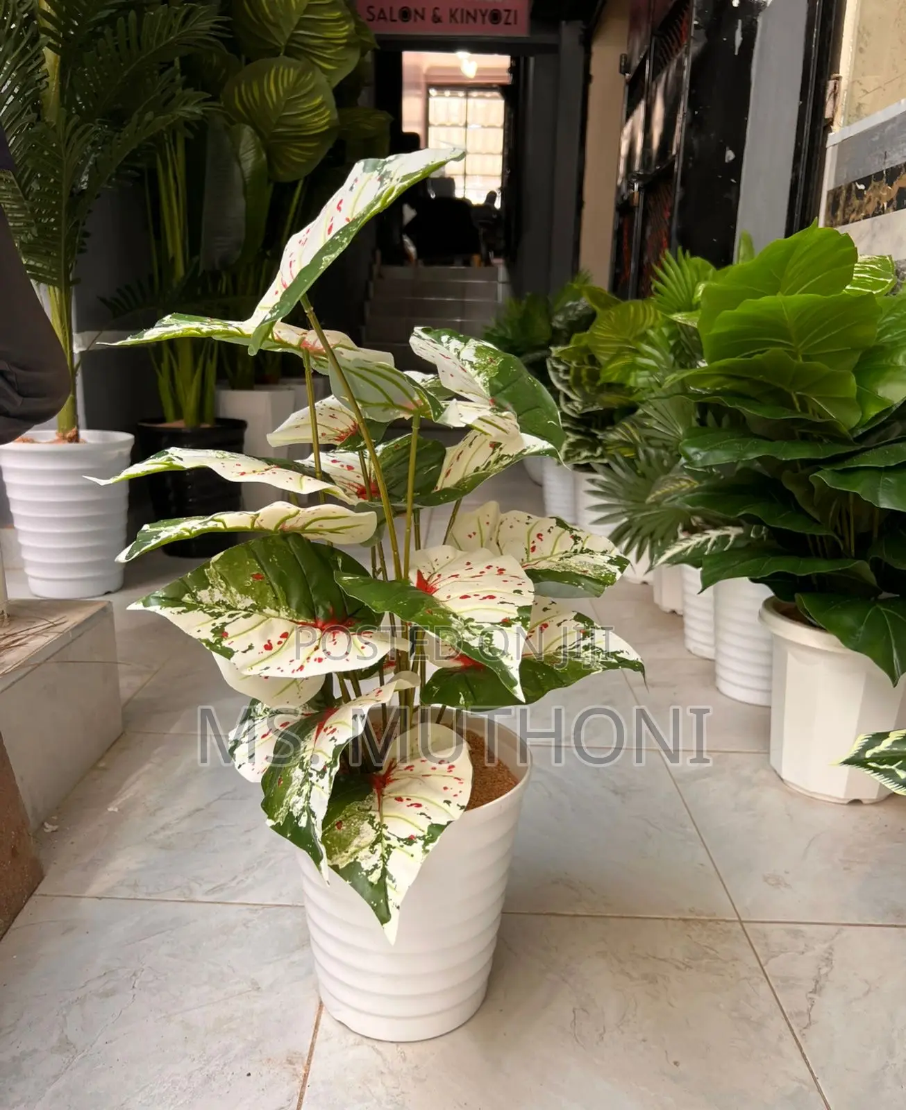 1metre Big Artificial Plant + Pebbles + Plus Vase