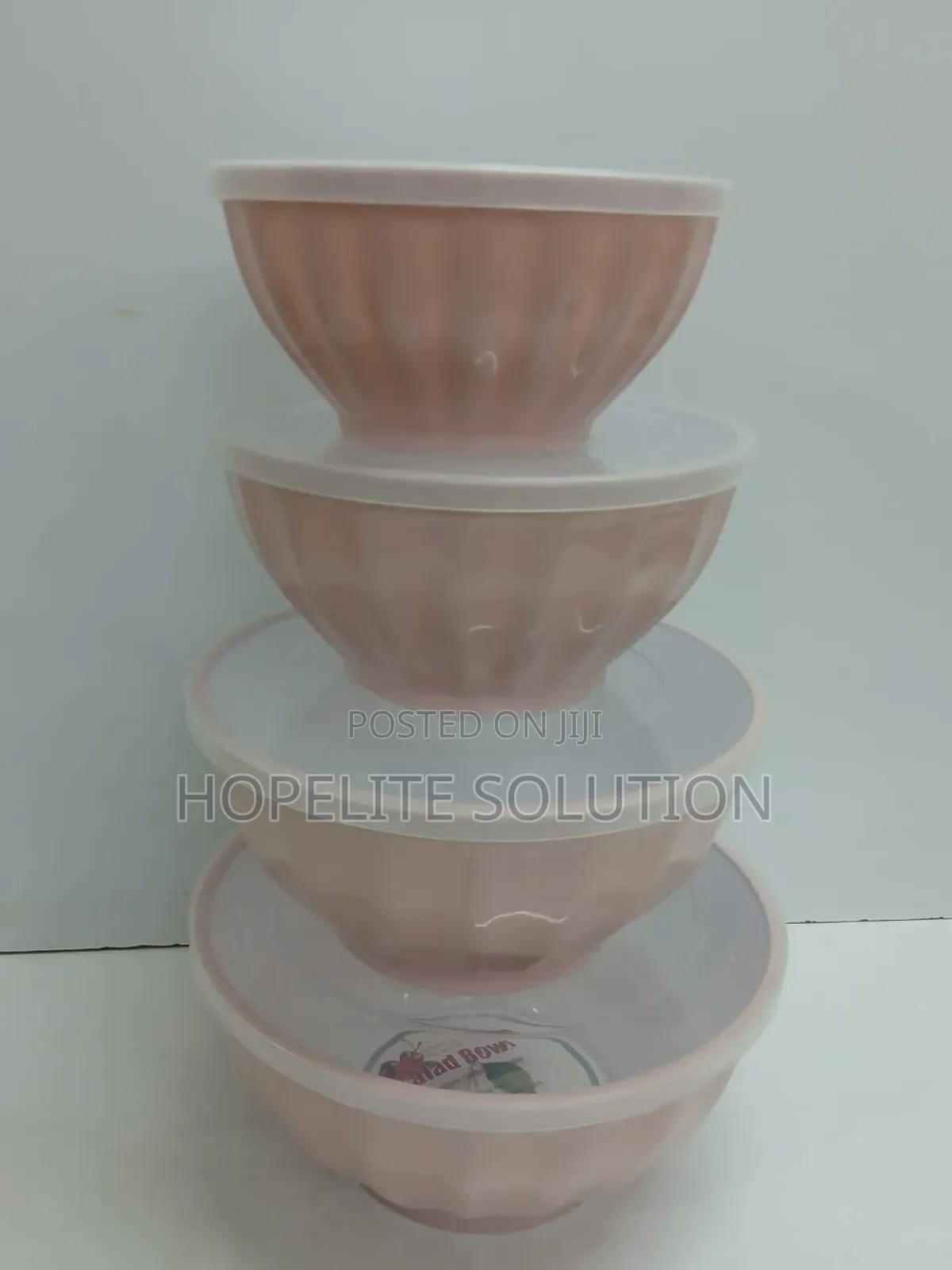 4 in 1 Salad /Storage Bowls Set