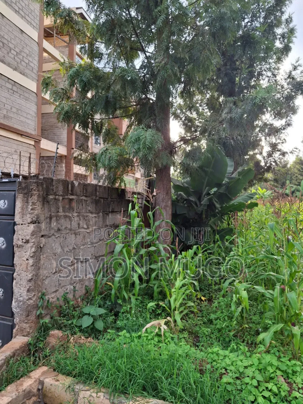 Kiamumbi Kamiti Road Prime Commercial 1/4 Acre Near Police Station