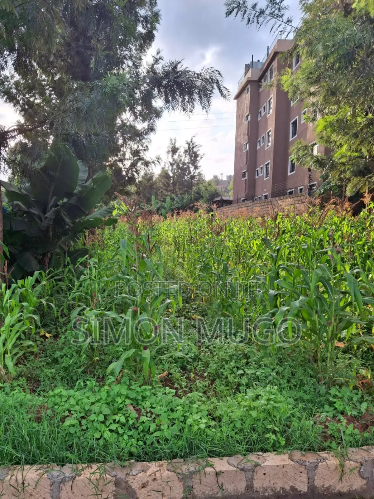 Kiamumbi Kamiti Road Prime Commercial 1/4 Acre Near Police Station