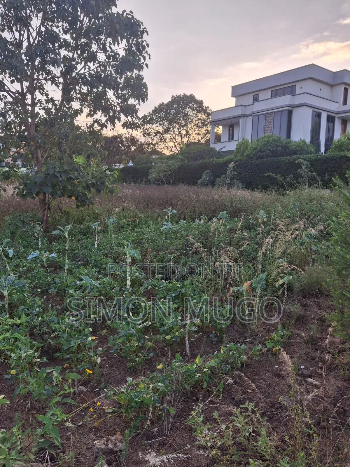 Kiamumbi Kamiti Road Prime Commercial 1/4 Acre Near Police Station