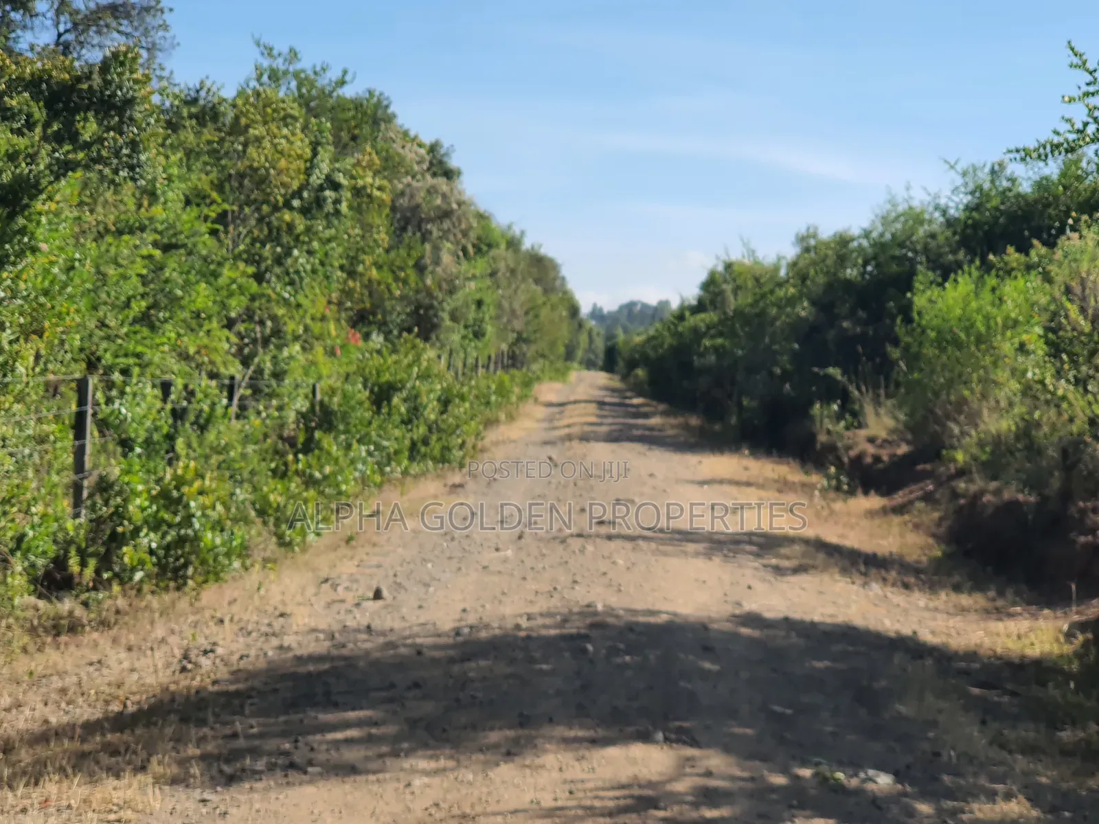 Nanyuki 11 Acres Near Mt Kenya