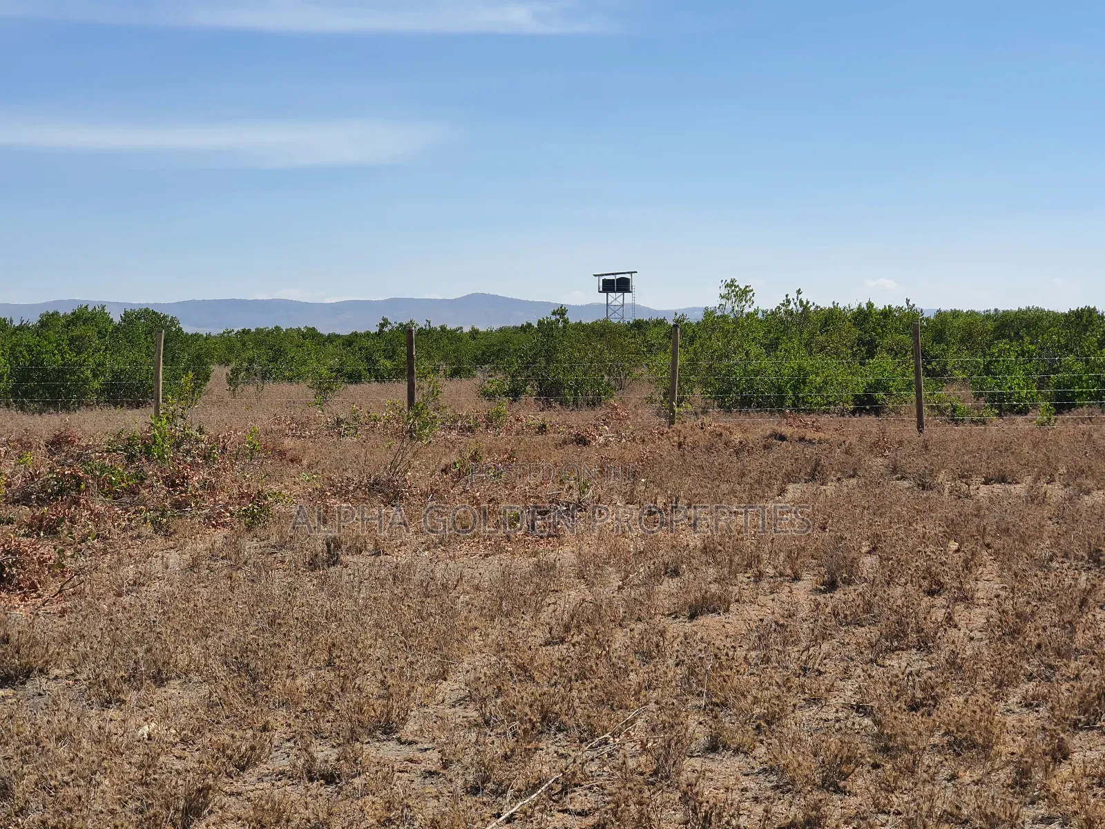 Plots for Sale in Kariunga