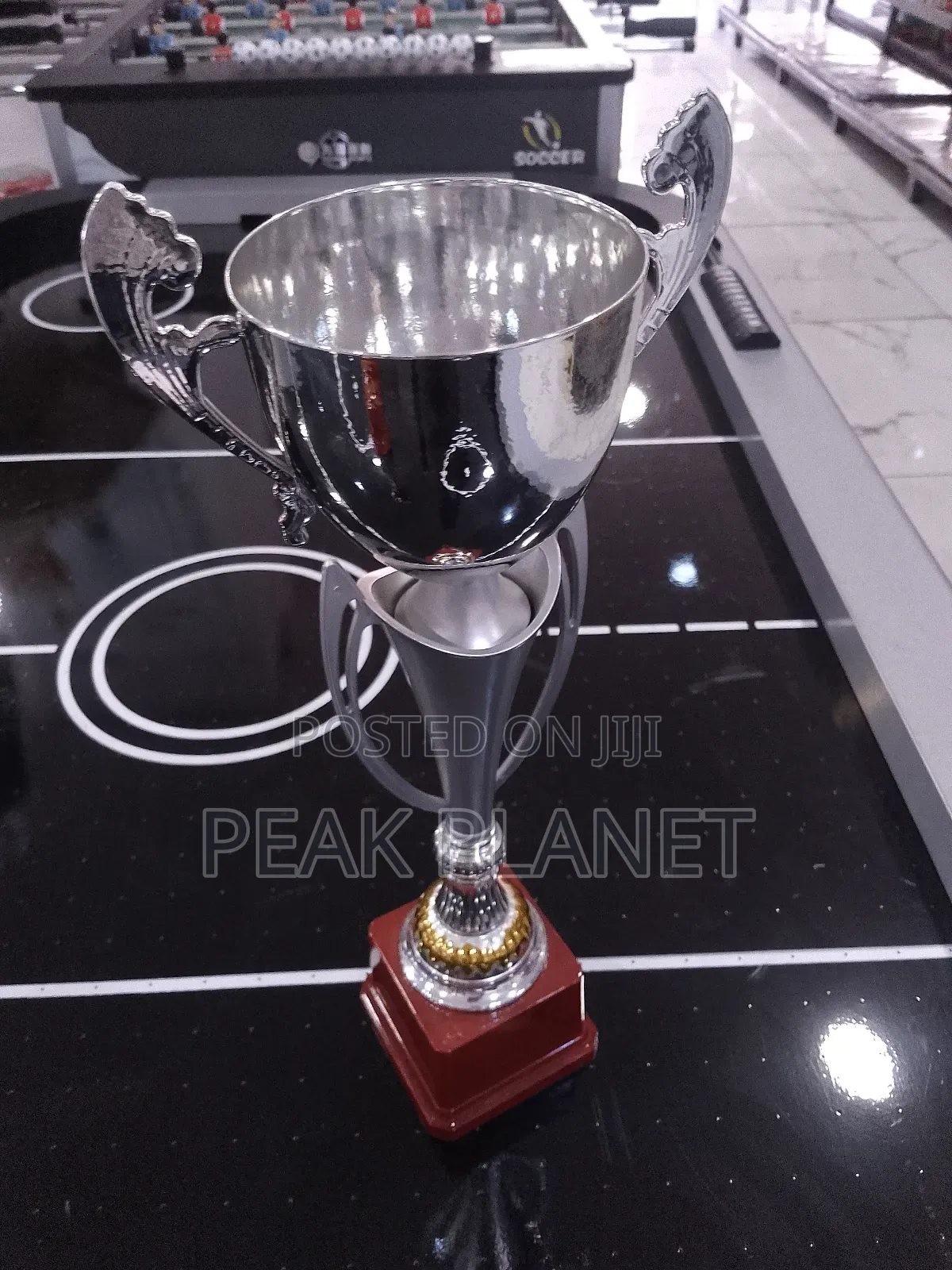 Professional Award Trophies for Ceremonies