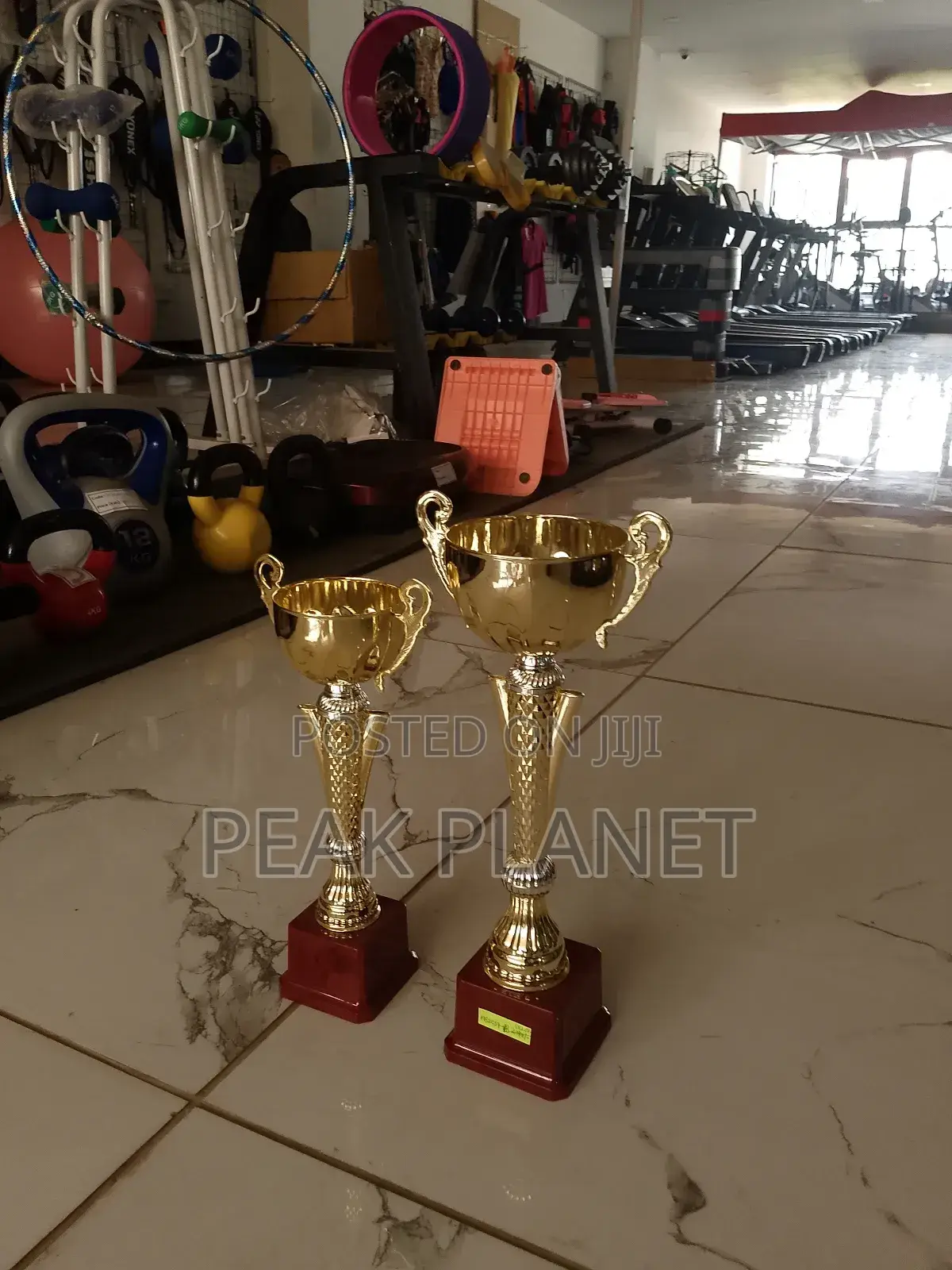 Premium Custom Award Trophies for Schools, Sports Corporate Events