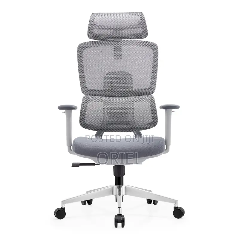Orthopedic Office Chair : Alfordson Mesh Ergonomic Office Chair