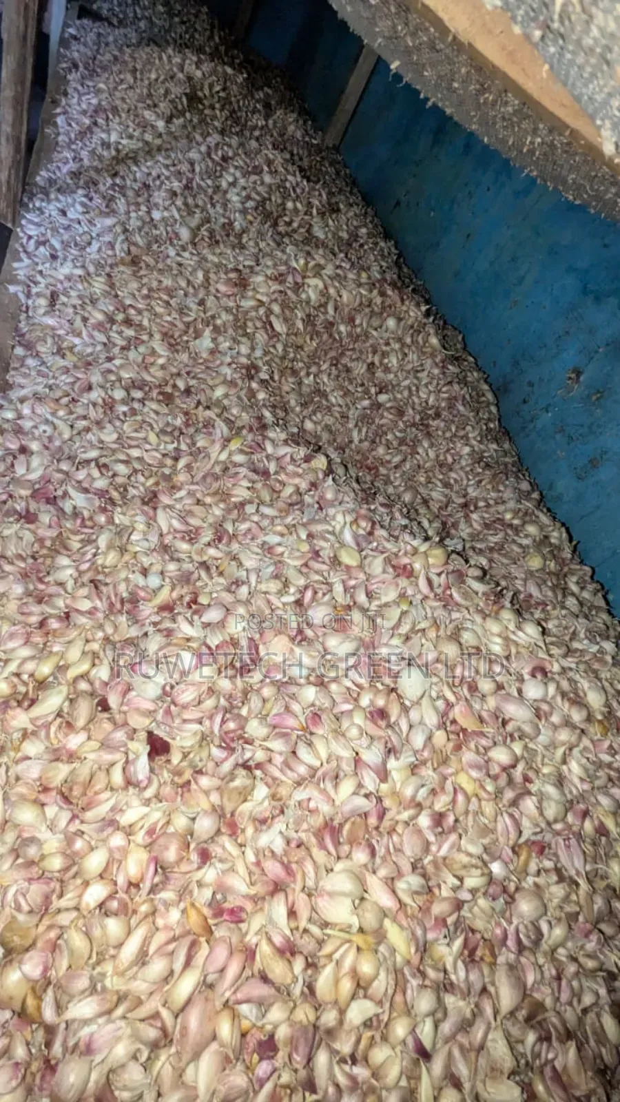 Garlic Cloves/Seeds