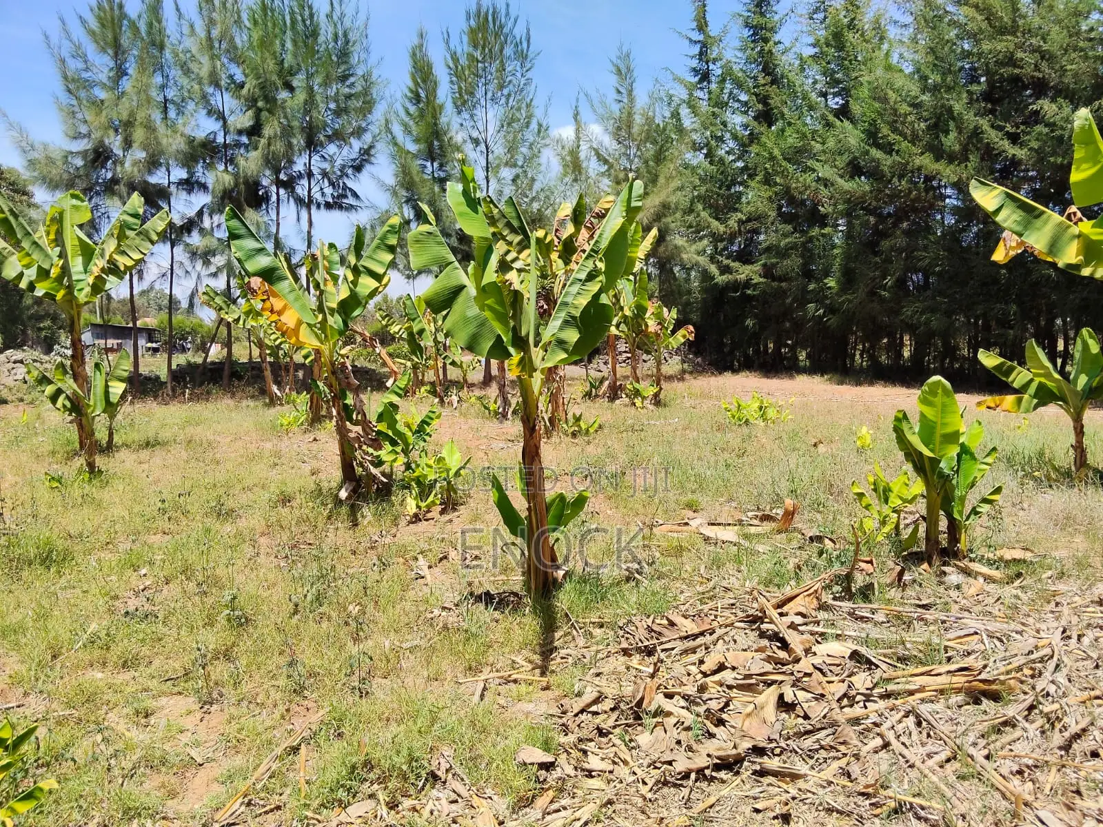1 Acre Residential Land for Sale in Outspan Eldoret