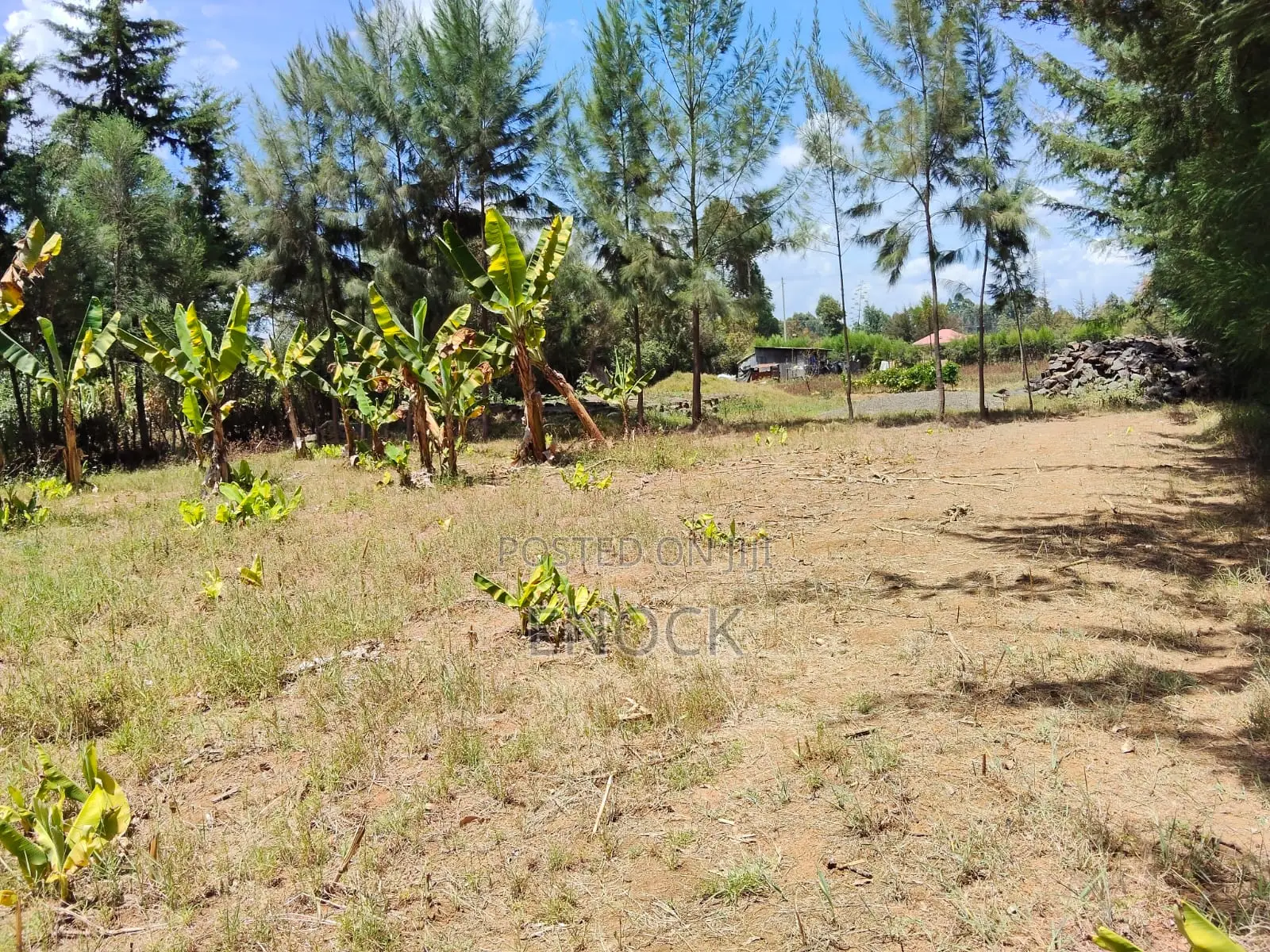 1 Acre Residential Land for Sale in Outspan Eldoret