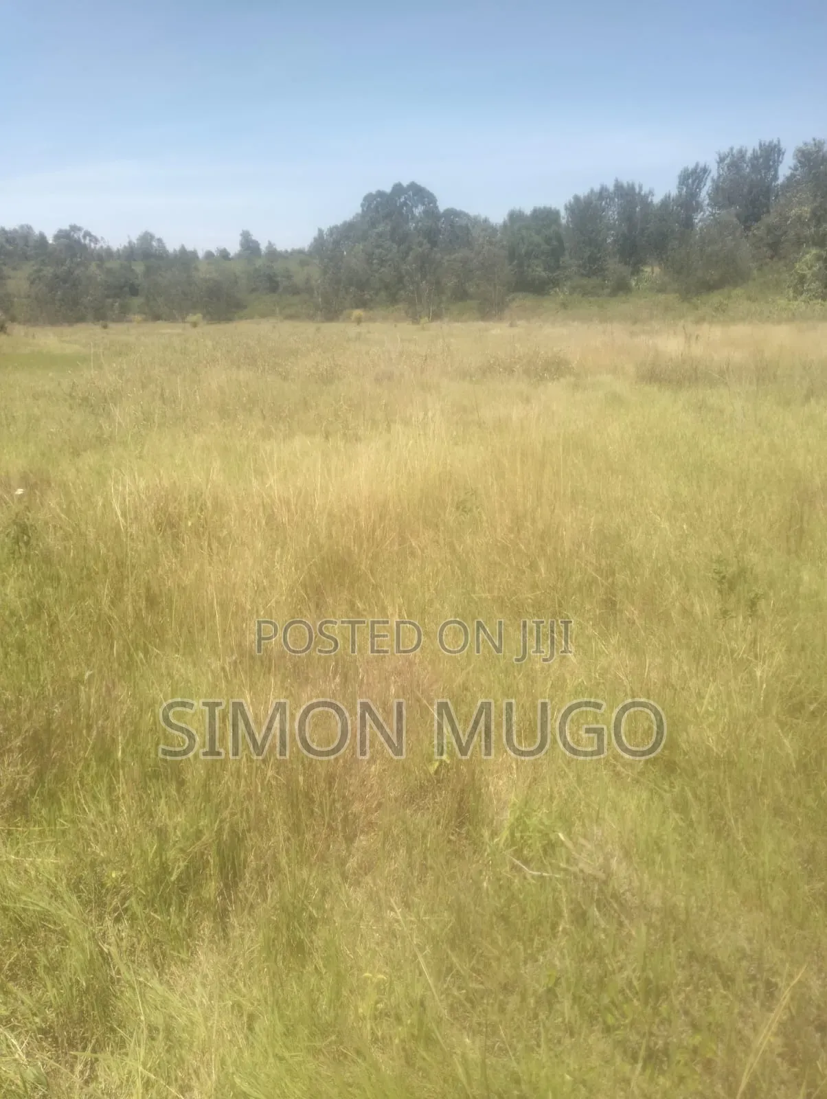 Muranga Maragua Prime 15 Acre Quick Sale 5.5 Millions Per Acre