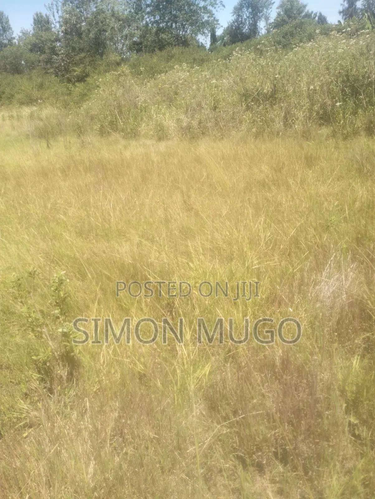 Muranga Maragua Prime 15 Acre Quick Sale 5.5 Millions Per Acre