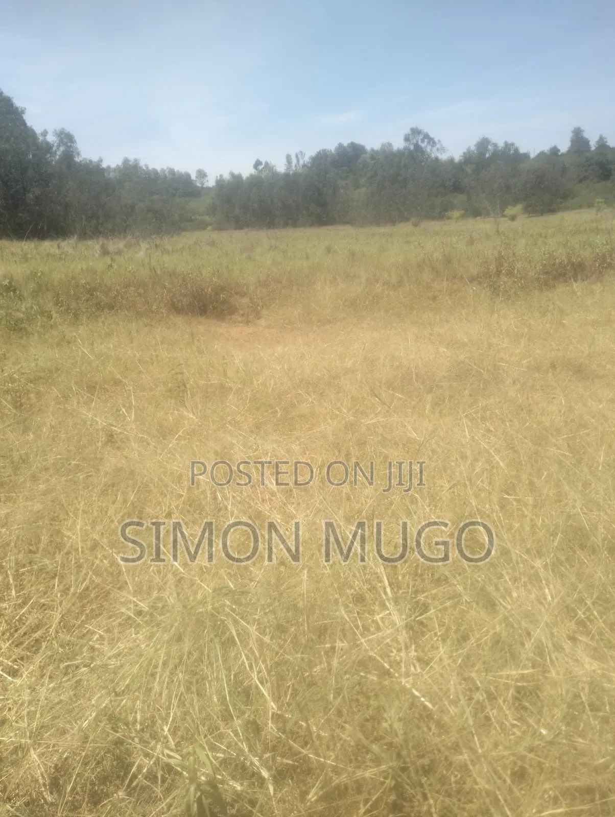 Muranga Maragua Prime 15 Acre Quick Sale 5.5 Millions Per Acre