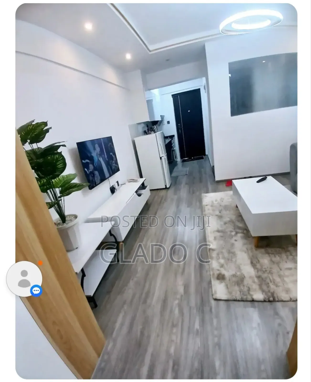 Alina Ridge Studio