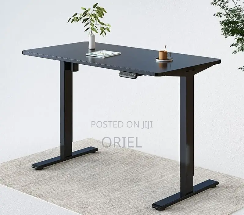 Electric Computer Desk : 1200cm Office Height Adjusted Computer Desk