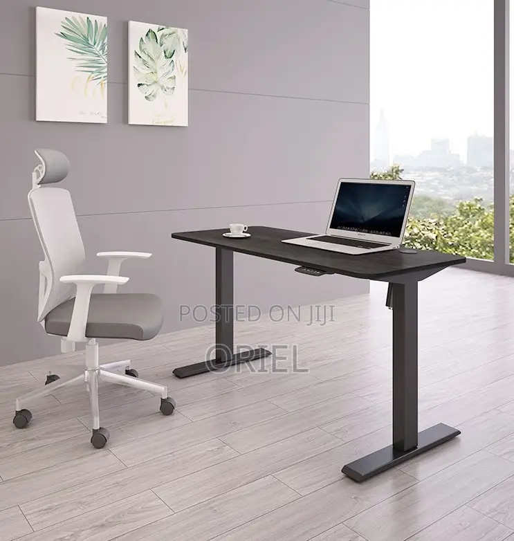 Electric Computer Desk : 1200cm Office Height Adjusted Computer Desk