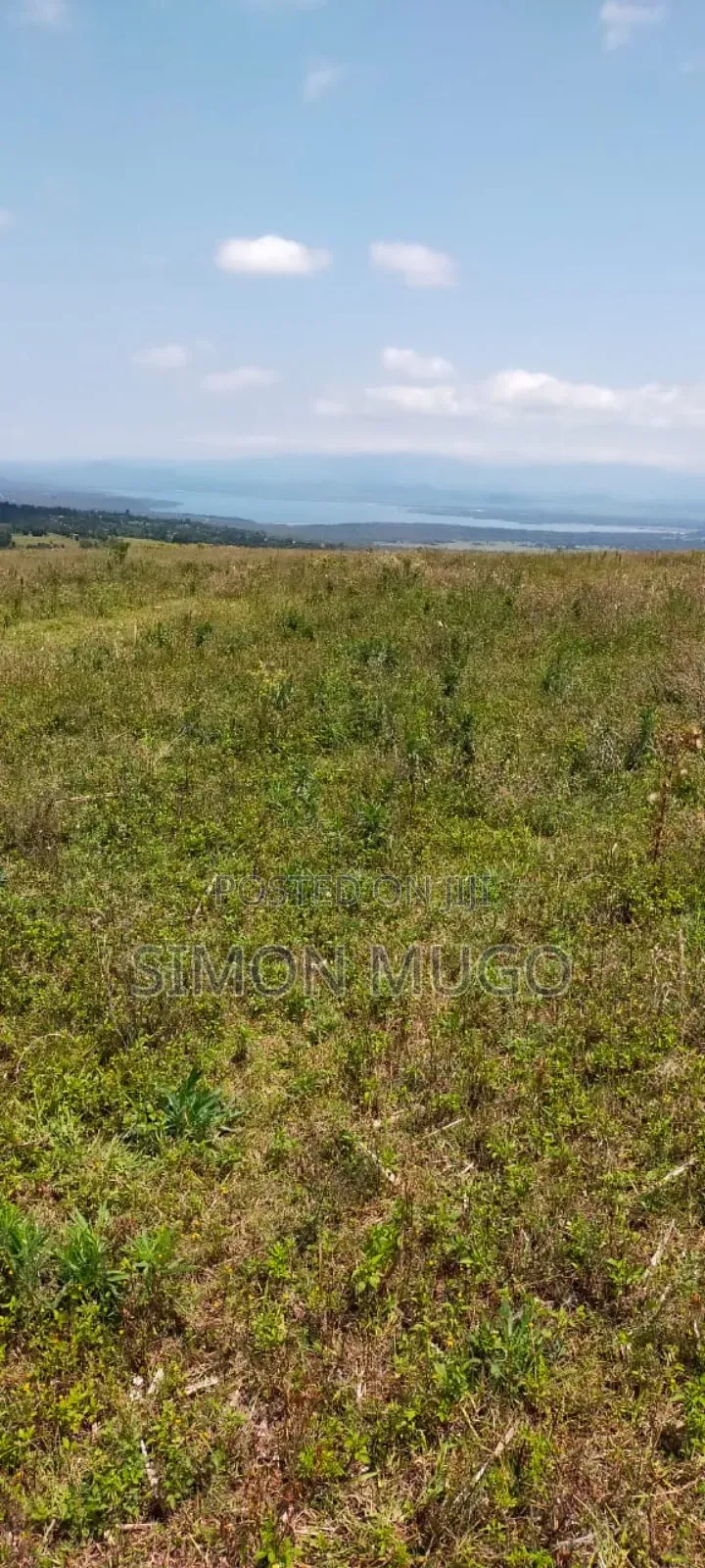 Nyandarua Ngorika Prime Agricultural 500 Acres