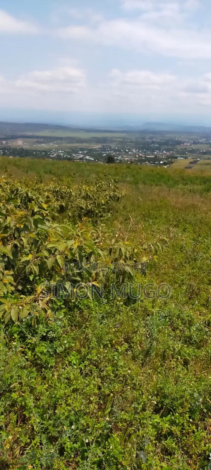 Nyandarua Ngorika Prime Agricultural 500 Acres