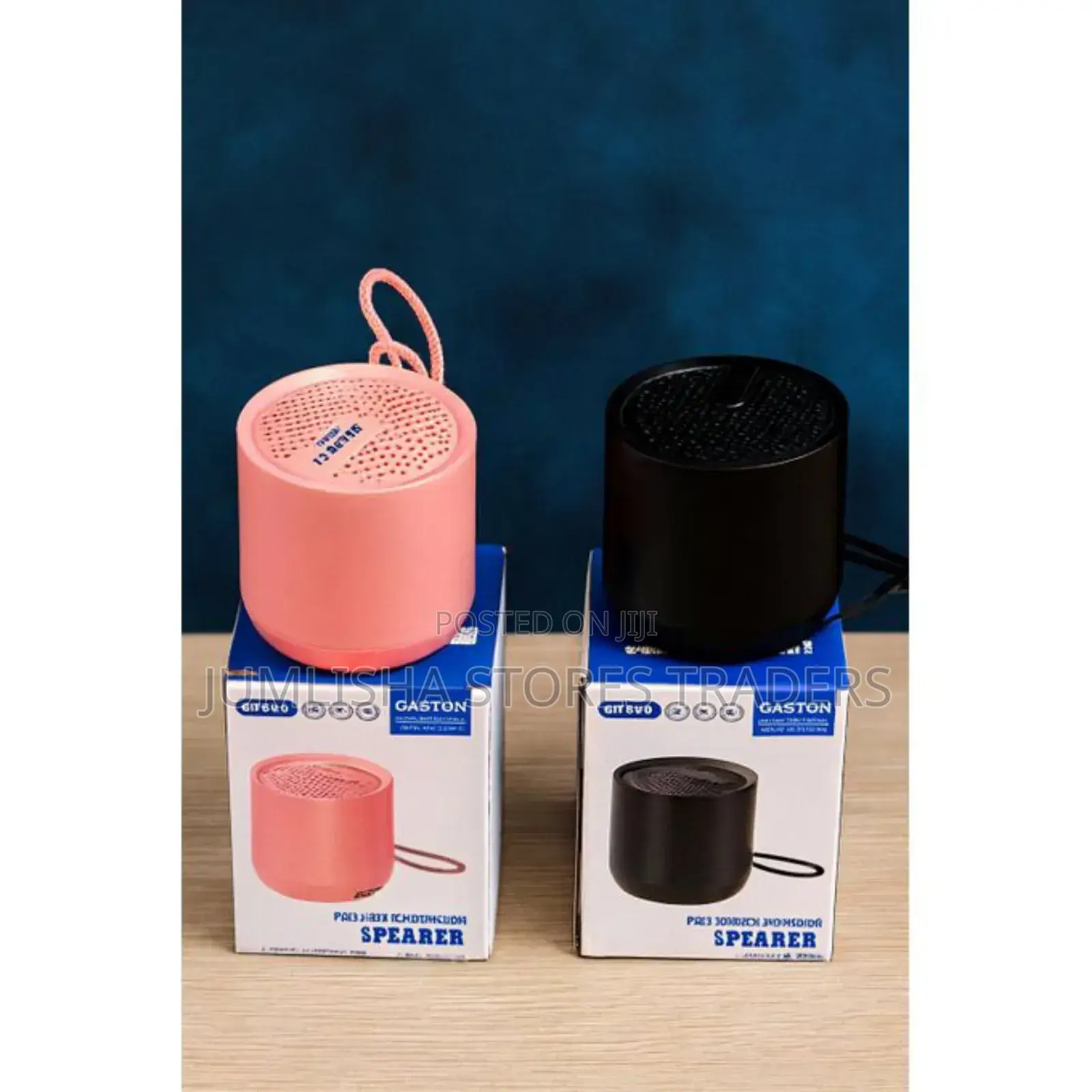 Caston St-919 Portable Wireless Speaker