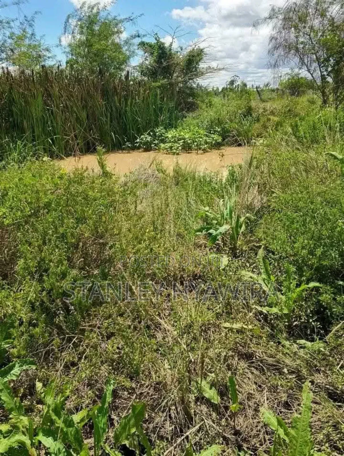 4 Acreas Nanyuki Sweet Water