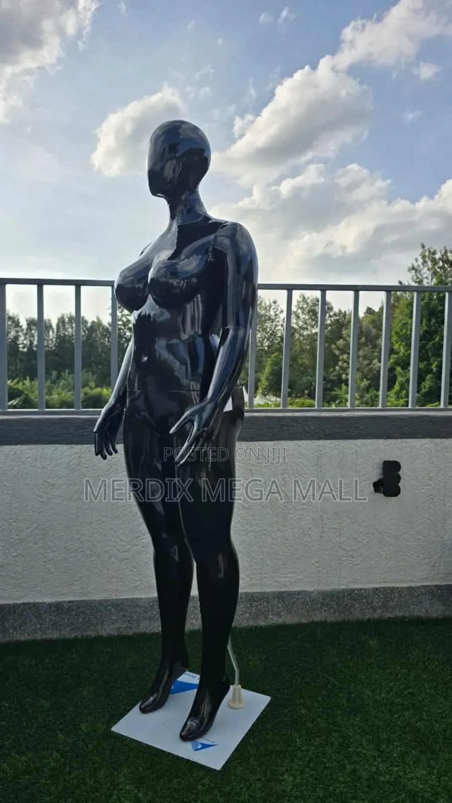 Black Fibre Glass
Lady Mannequin, Mannequins, Lady Dummy