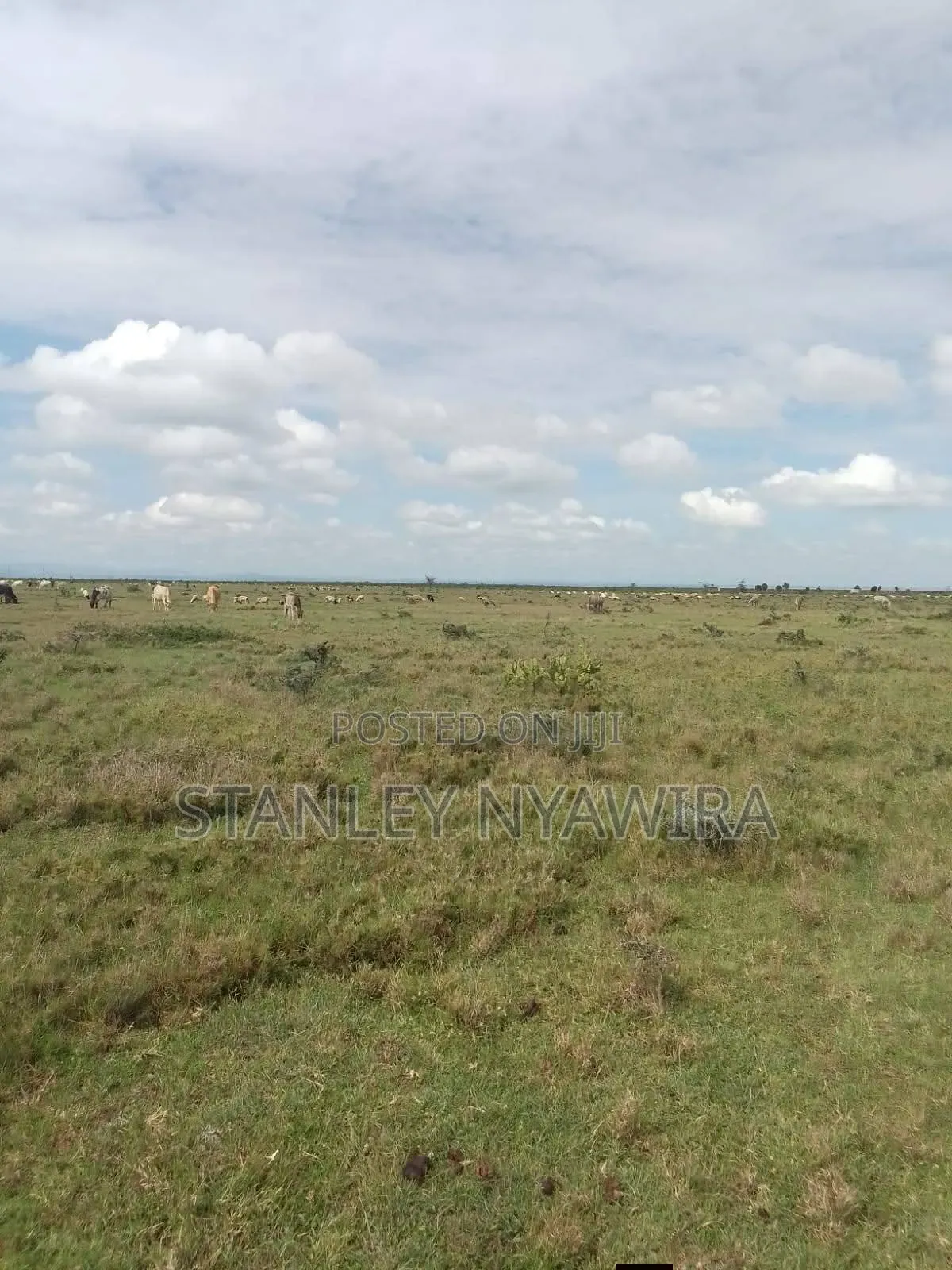 5 Acreas Nanyuki Mutirithia
