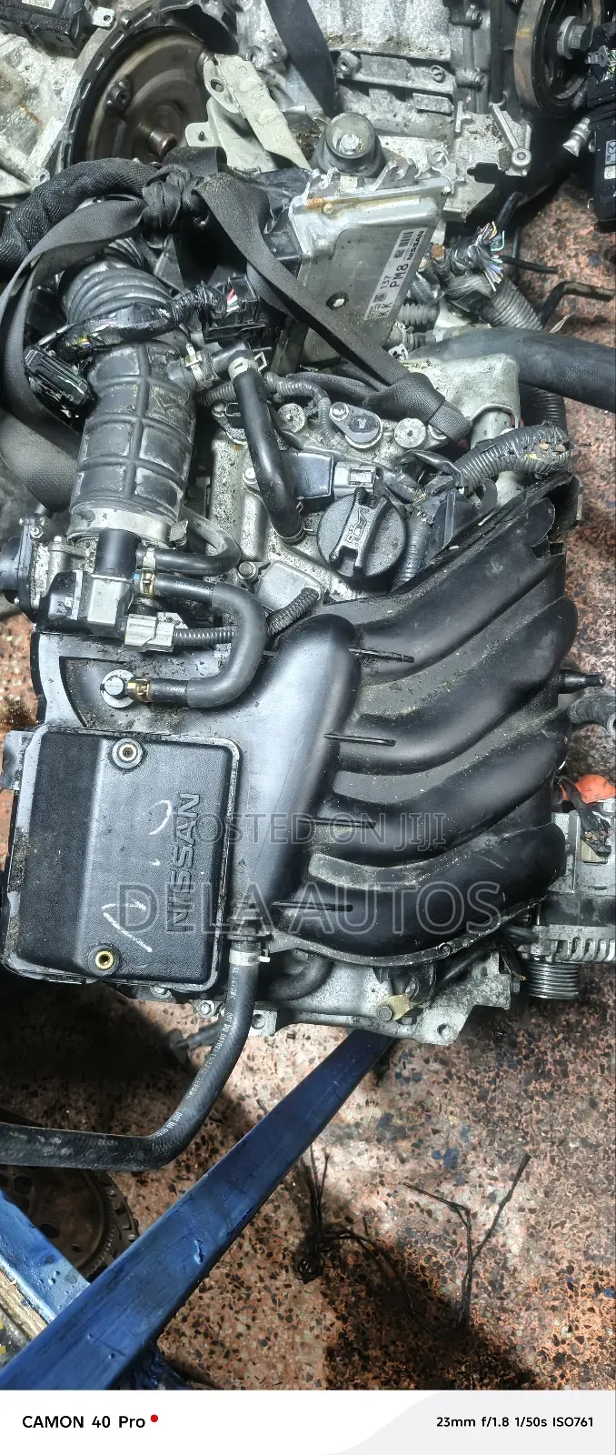 Hr16 Nissan Nv200, Sylphy, Juke, Bluebird Engine2014 Model
