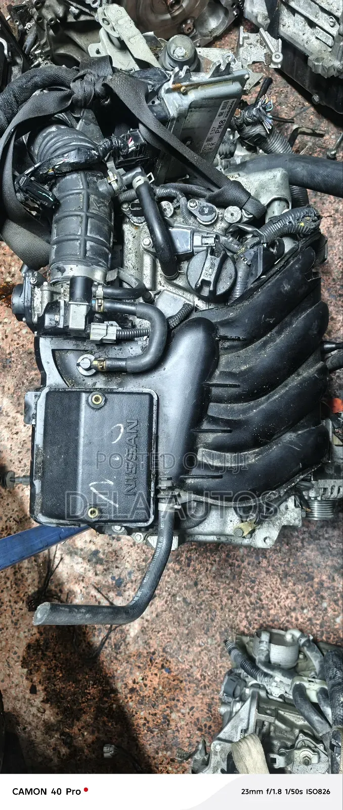 Hr16 Nissan Nv200, Sylphy, Juke, Bluebird Engine2014 Model