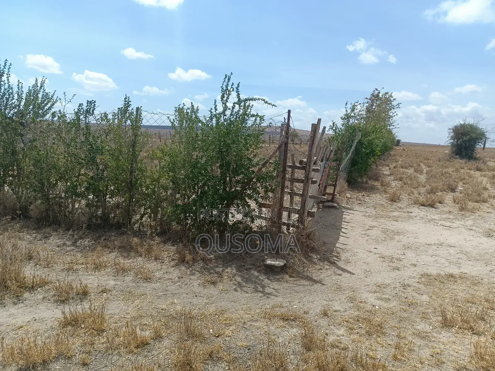 Prime 2-Acre Haven: 3-Bed Home + Borehole – Konza Boom!