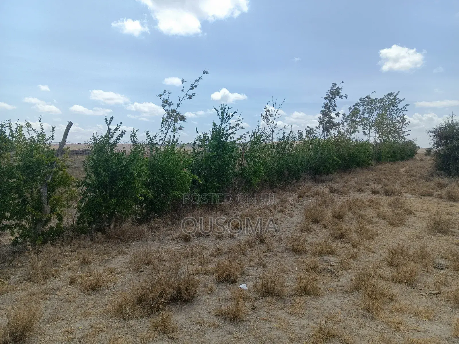 Prime 2-Acre Haven: 3-Bed Home + Borehole – Konza Boom!