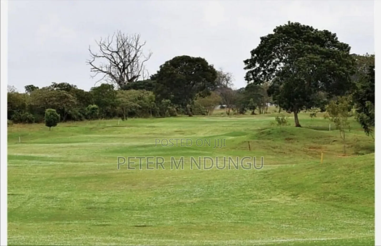 Residential Prime Plots on Sale, Migaa Golf Estate
