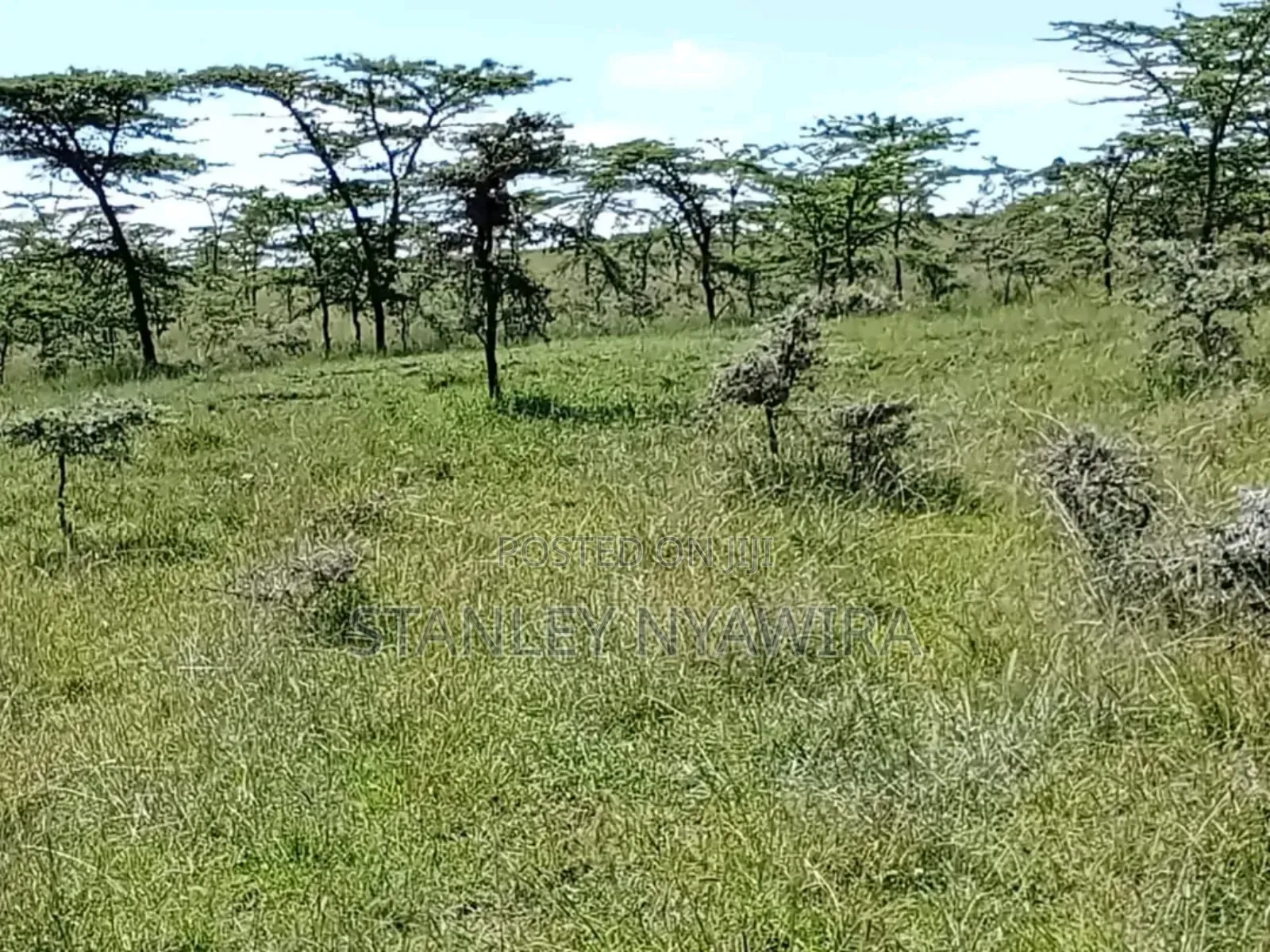 5 Acreas Uruku Nyeri Nyahururu Highway