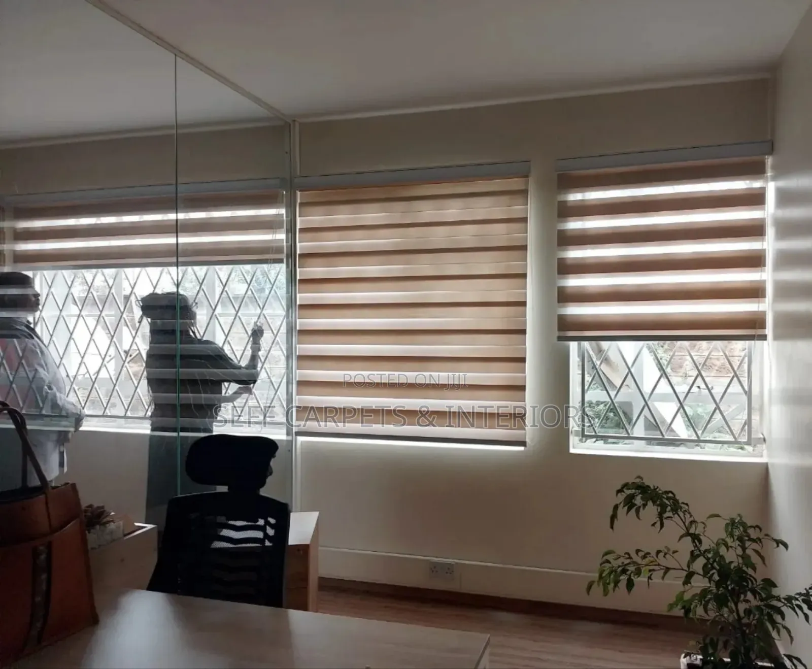 Zebra Shades Blinds
