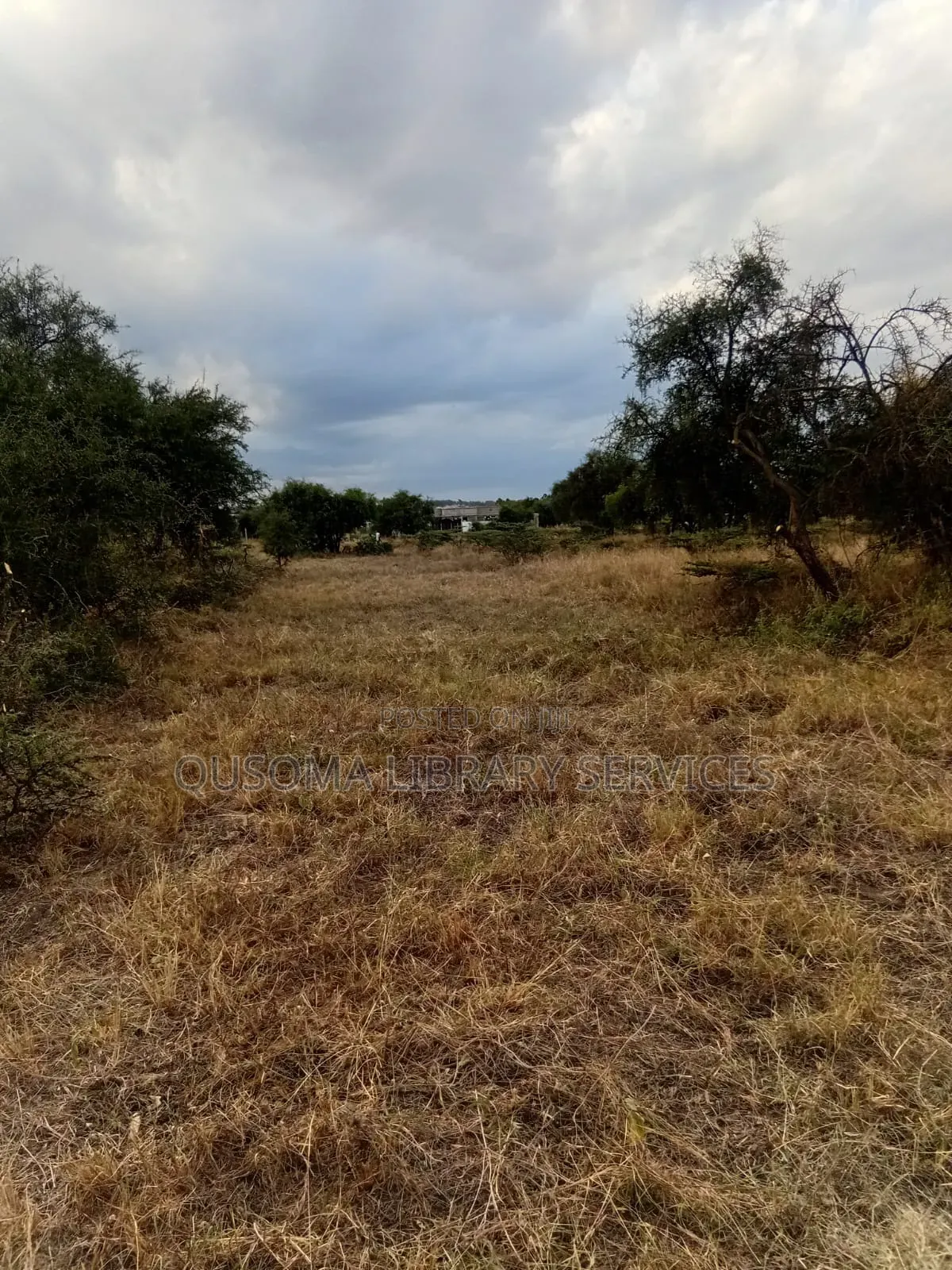 Affordable 1/8 Acre Serenity Plot, Stage 3 Olooloitikoshi, Kitengela