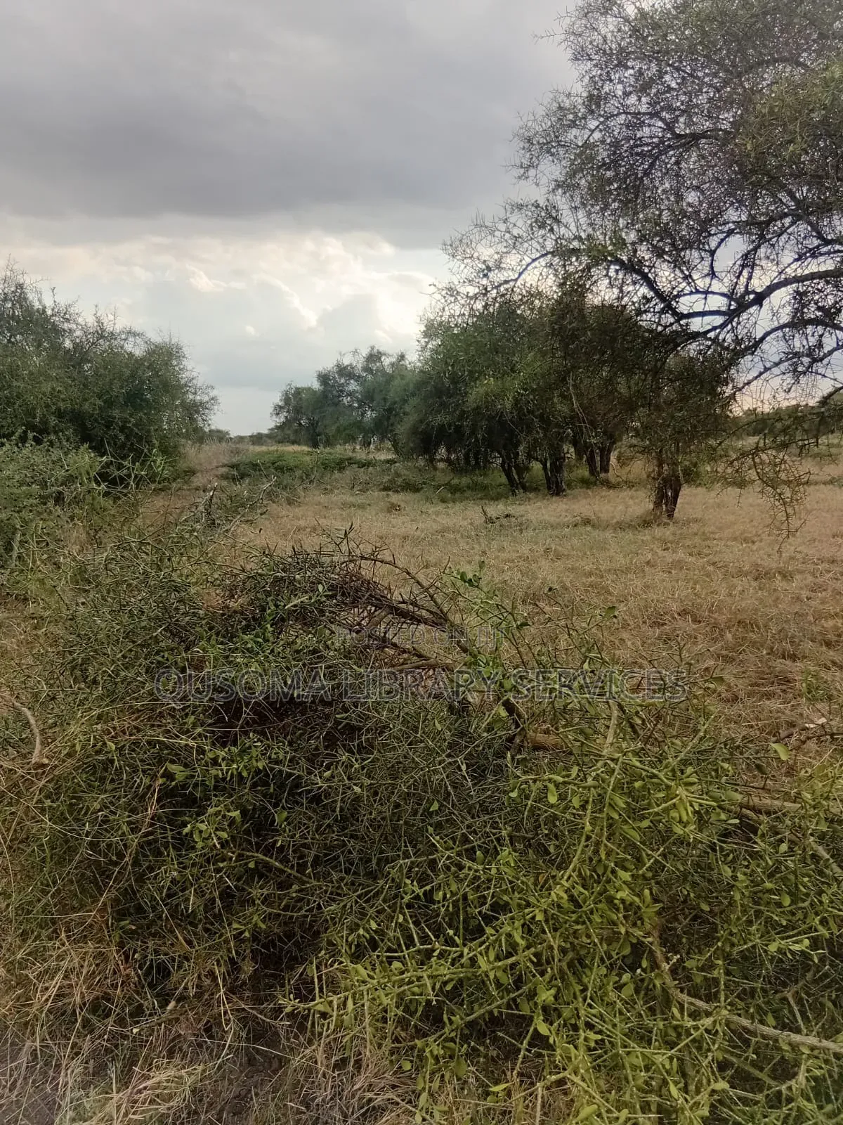 Affordable 1/8 Acre Serenity Plot, Stage 3 Olooloitikoshi, Kitengela