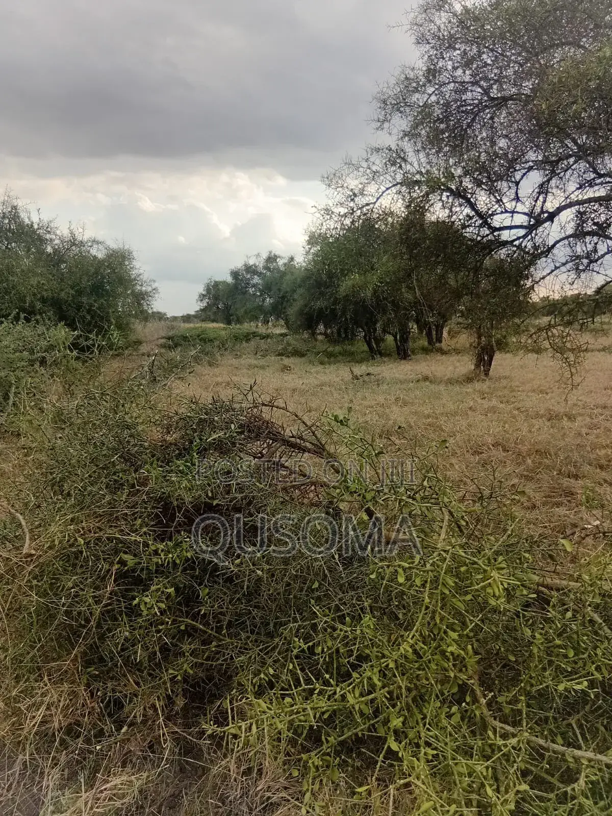Affordable 1/8 Acre Serenity Plot, Stage 3 Olooloitikoshi, Kitengela