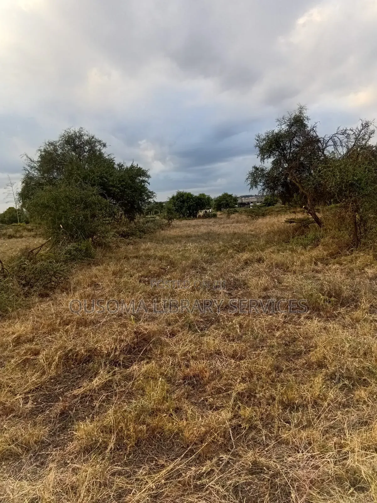 Affordable 1/8 Acre Serenity Plot, Stage 3 Olooloitikoshi, Kitengela