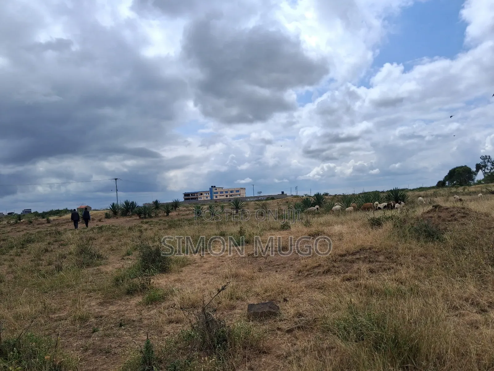 Juja Township Prime 1.8ac Ideal for Hotel Behind Rubis Petrol Station