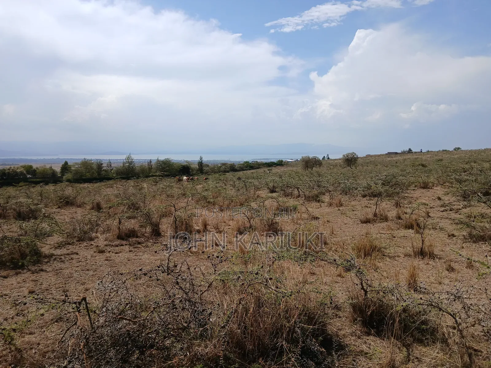 2 Acres of Land in Naivasha Mirera Near Oasis Academy With View
