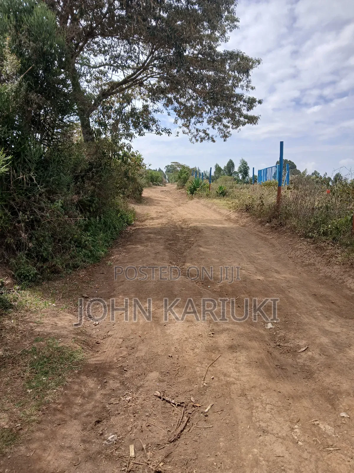 50x100 Plots in Naivasha Nyamathi 900 Metres From the Tarmac Road