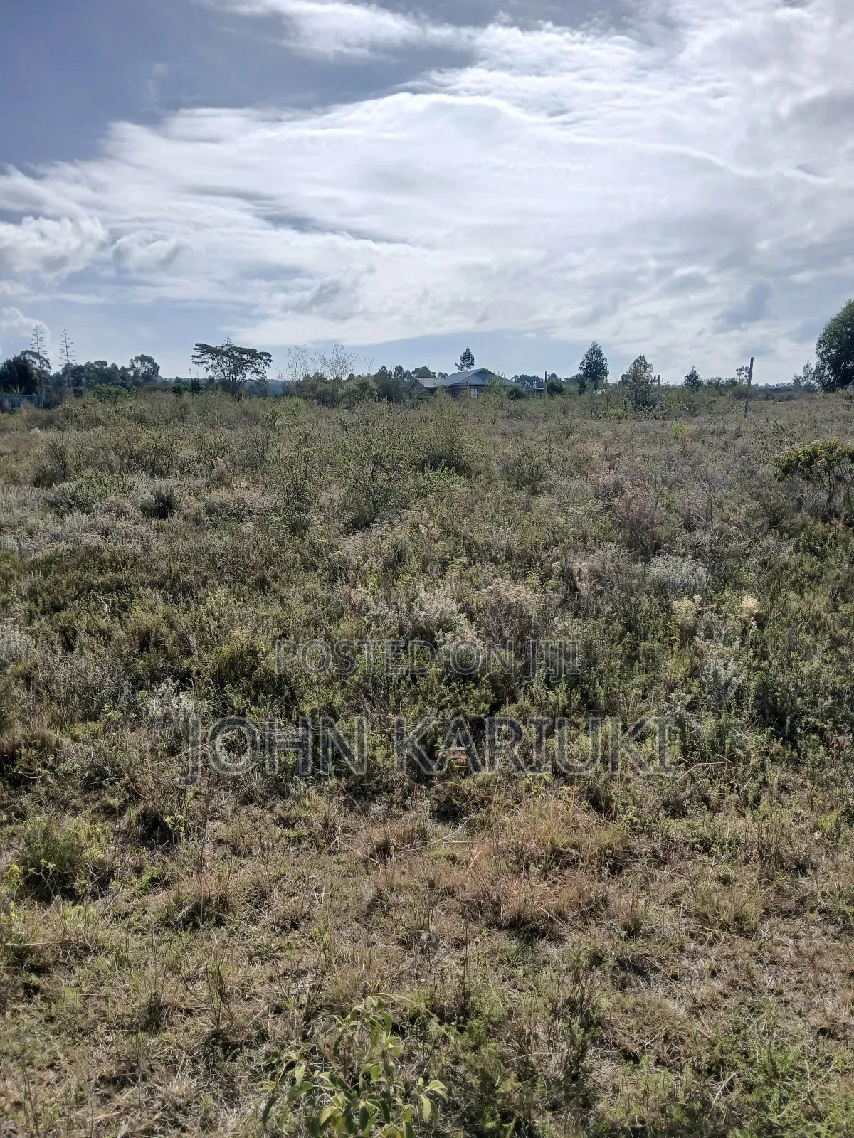 50x100 Plots in Naivasha Nyamathi 900 Metres From the Tarmac Road